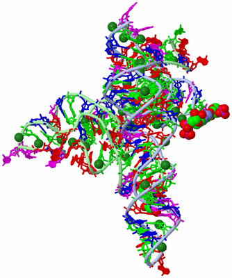 Image Biological Unit 3