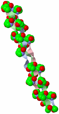 Image Asymmetric Unit