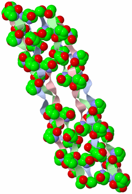 Image Biological Unit 2