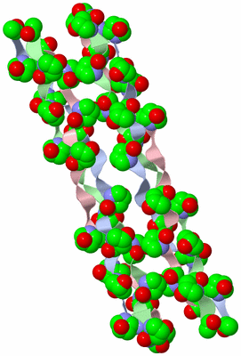 Image Biological Unit 3