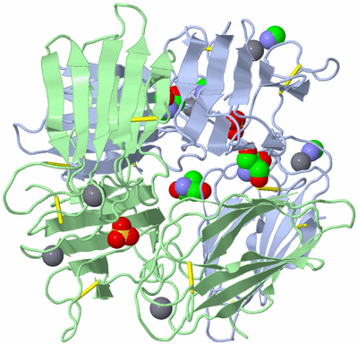 Image Biological Unit 3