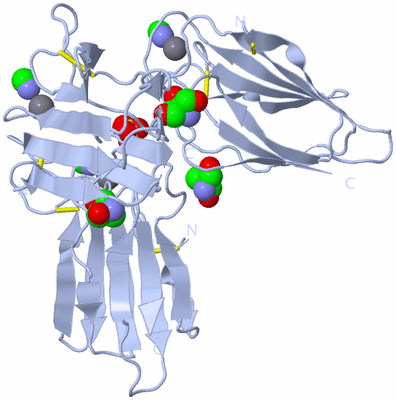 Image Biological Unit 5