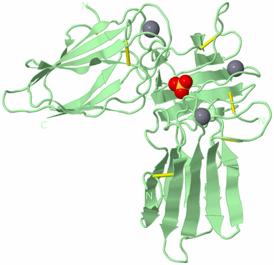 Image Biological Unit 6