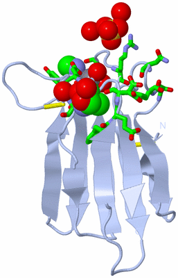 Image Biol. Unit 1 - sites