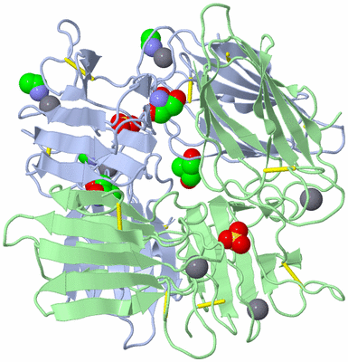 Image Biological Unit 3