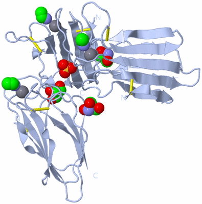 Image Biological Unit 5