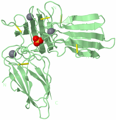 Image Biological Unit 6