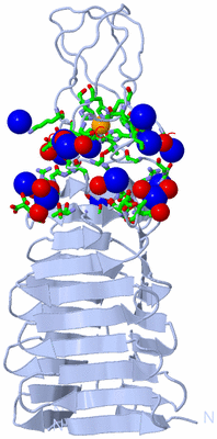 Image Biol. Unit 1 - sites