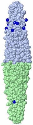 Image Biological Unit 3