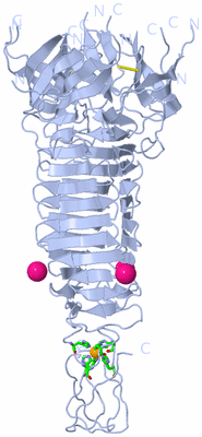 Image Biol. Unit 1 - sites