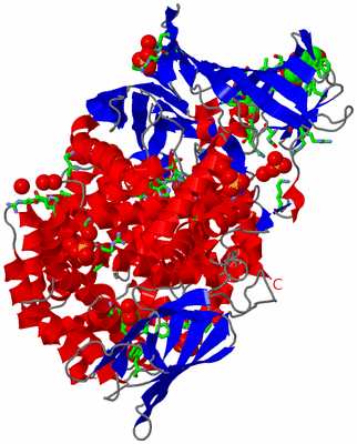 Image Asym./Biol. Unit - sites