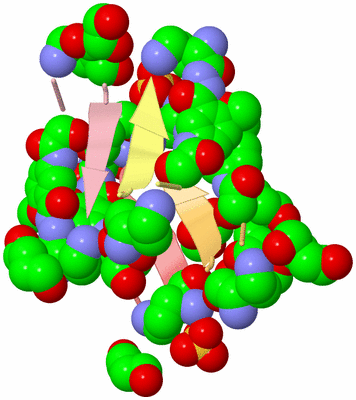 Image Biological Unit 3