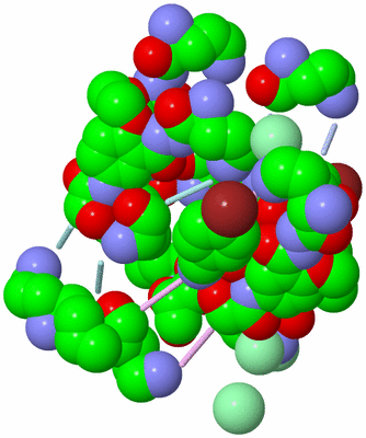 Image Biological Unit 2