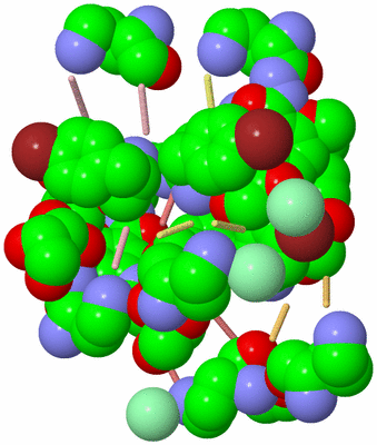 Image Biological Unit 3