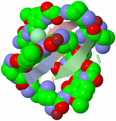 Image Biological Unit 1