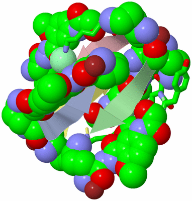 Image Biol. Unit 1 - sites