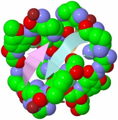 Image Biological Unit 2