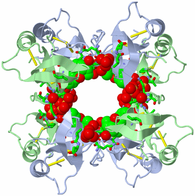 Image Biol. Unit 1 - sites