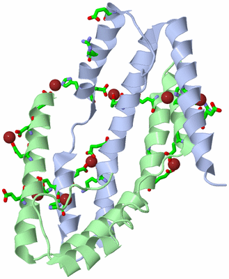 Image Asym./Biol. Unit - sites