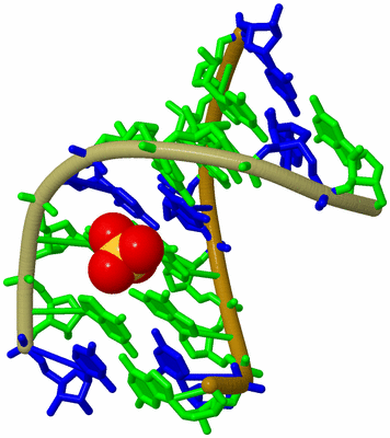 Image Biological Unit 10