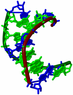 Image Biological Unit 11