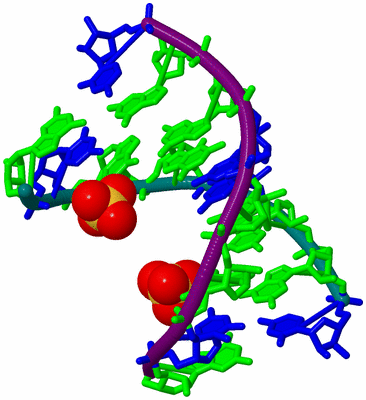 Image Biological Unit 12