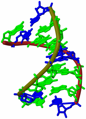 Image Biological Unit 13