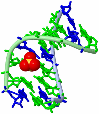 Image Biological Unit 14