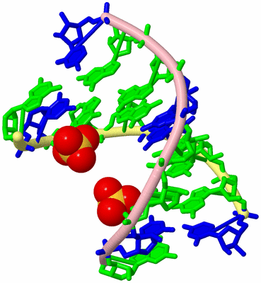 Image Biological Unit 15