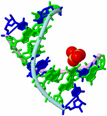 Image Biological Unit 16