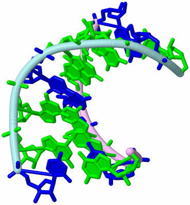 Image Biological Unit 3