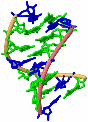 Image Biological Unit 4