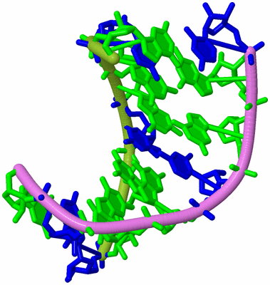 Image Biological Unit 7