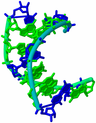 Image Biological Unit 8