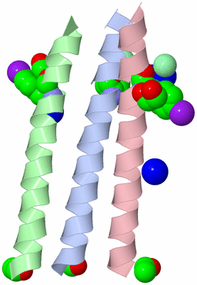 Image Asymmetric Unit