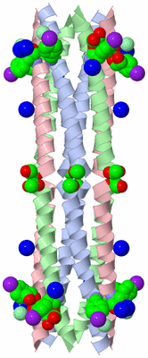 Image Biological Unit 2