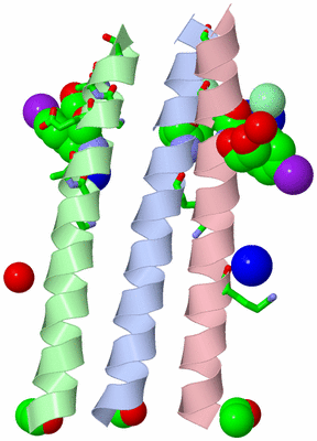 Image Asym. Unit - sites