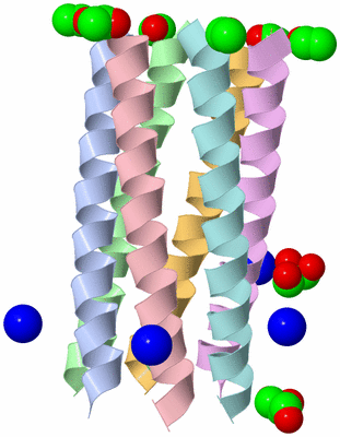 Image Asym./Biol. Unit