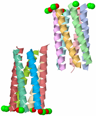 Image Asymmetric Unit