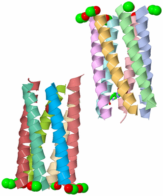 Image Asym. Unit - sites