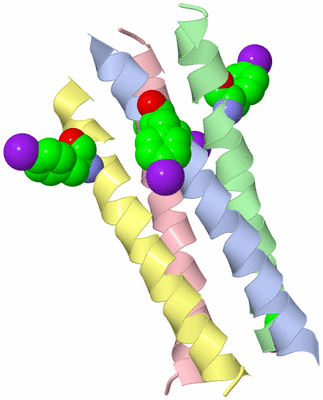 Image Biological Unit 1