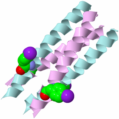 Image Biological Unit 2