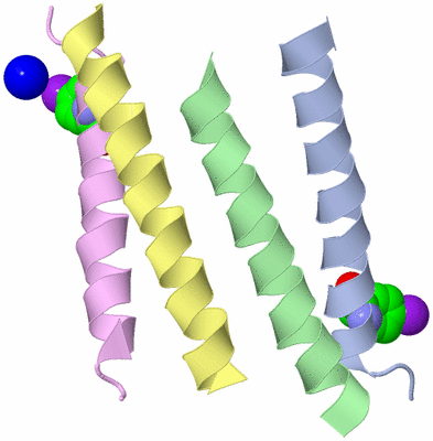 Image Asymmetric Unit