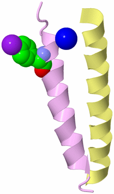 Image Biological Unit 2