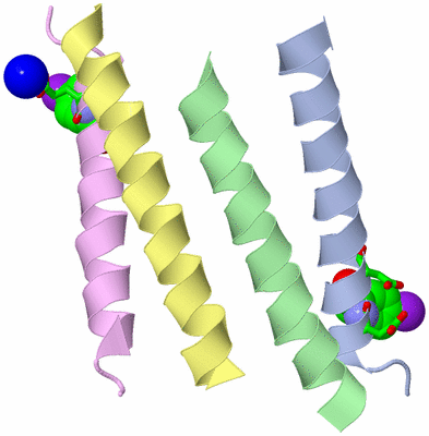 Image Asym. Unit - sites