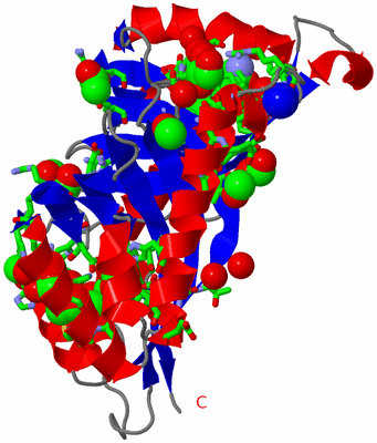 Image Asym./Biol. Unit - sites