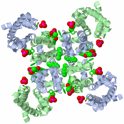 Image Biol. Unit 1 - sites