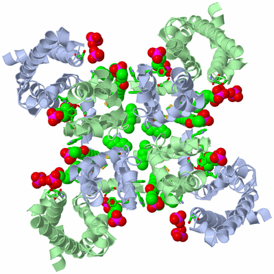 Image Biol. Unit 1 - sites