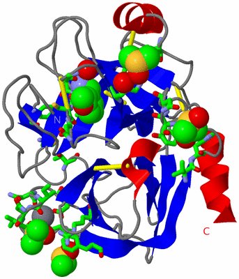 Image Asym./Biol. Unit - sites