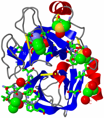 Image Asym./Biol. Unit - sites